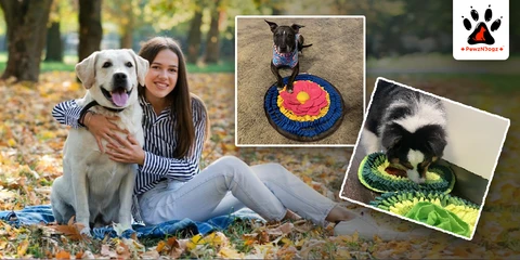 Tips to Choose the Right Enrichment Activities Based on Your Dog’s Age