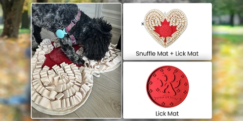 Tips to Choose the Right Enrichment Activities Based on Your Dog’s Age