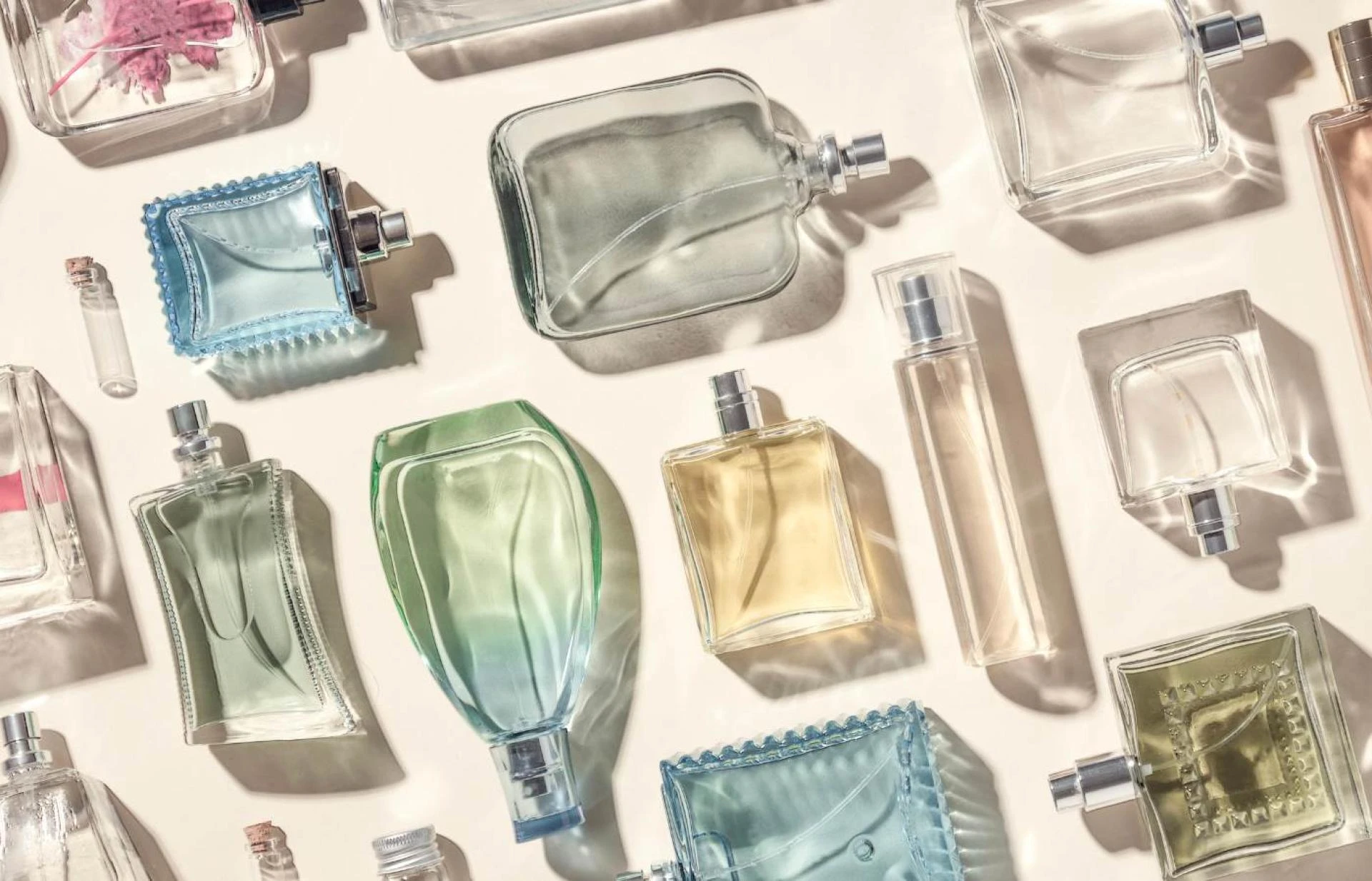 Best Perfume For Men And  Women Under 500: You’ll Love