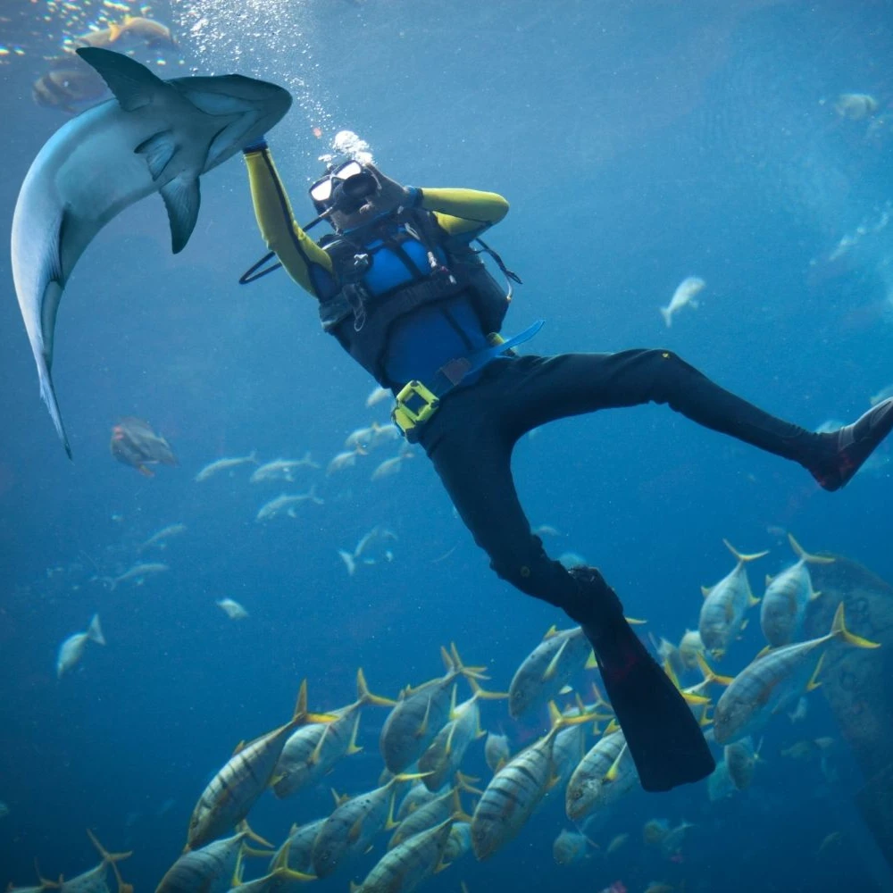 Scuba Diving in North Goa: The Hidden Gem of Underwater Exploration