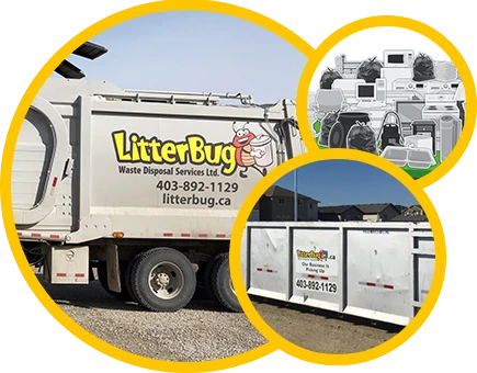 What Are the Essential Factors for Choosing the Right Portable Toilets?