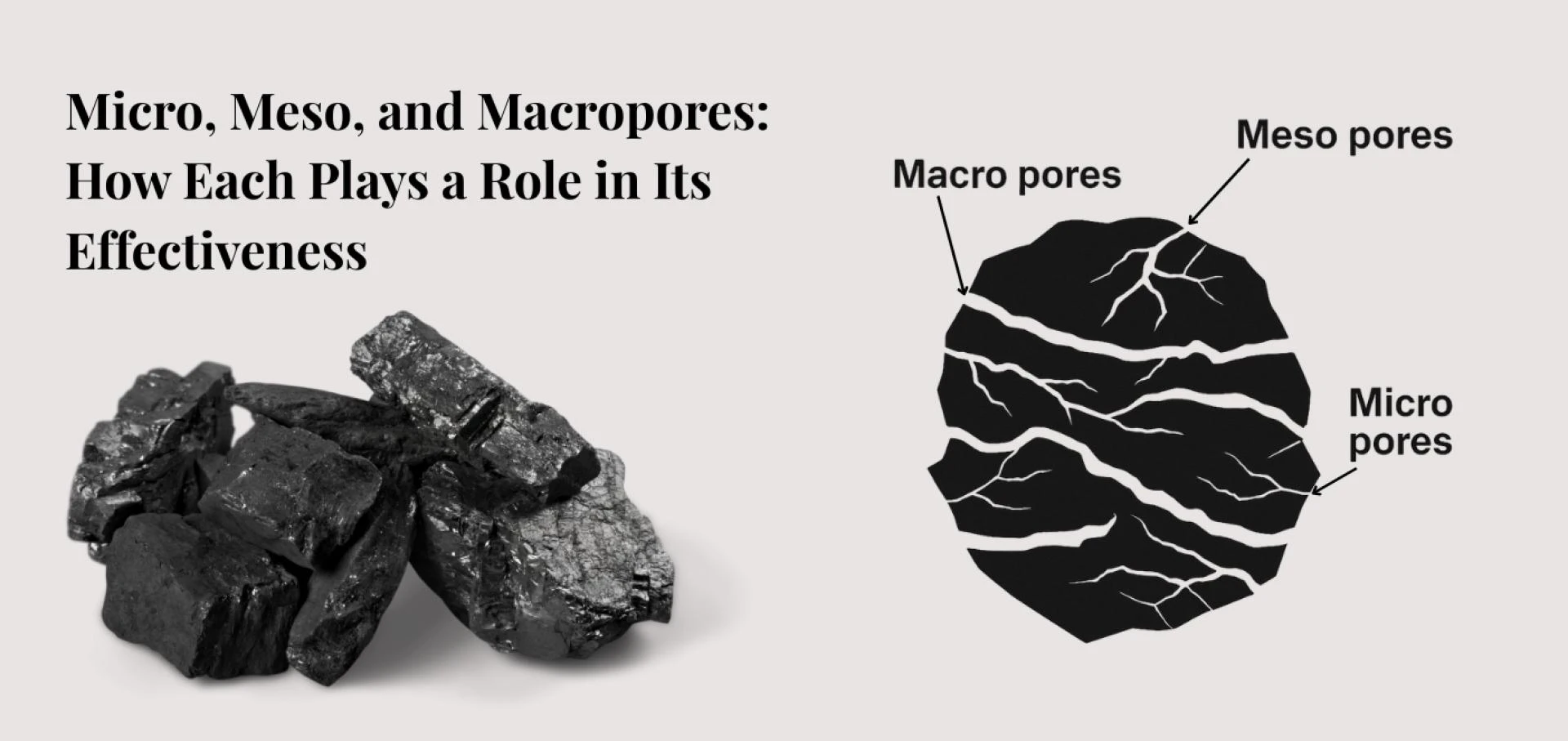 The Silent Workhorse of Modern Industries: Why Activated Charcoal Powder Deserves More Attention