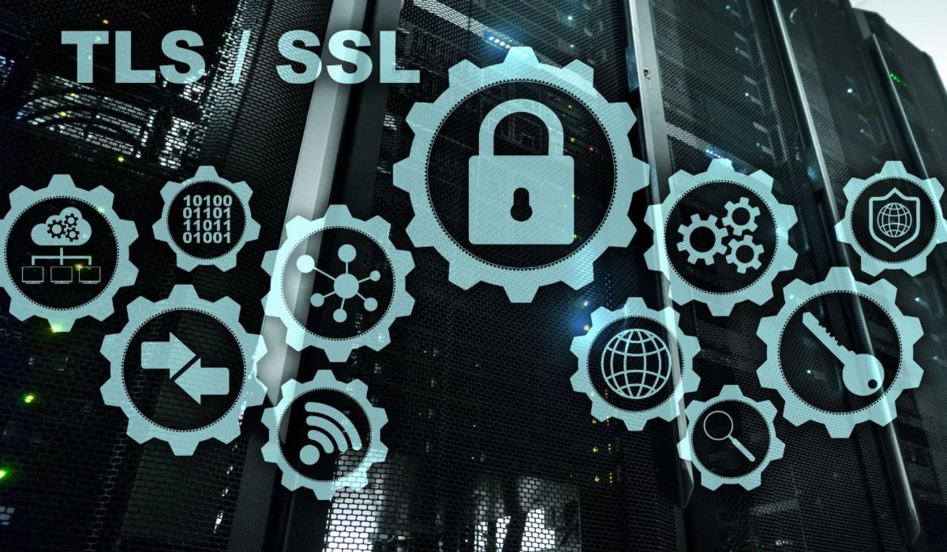 Choosing the Right Network Security Platform Provider for Your Business