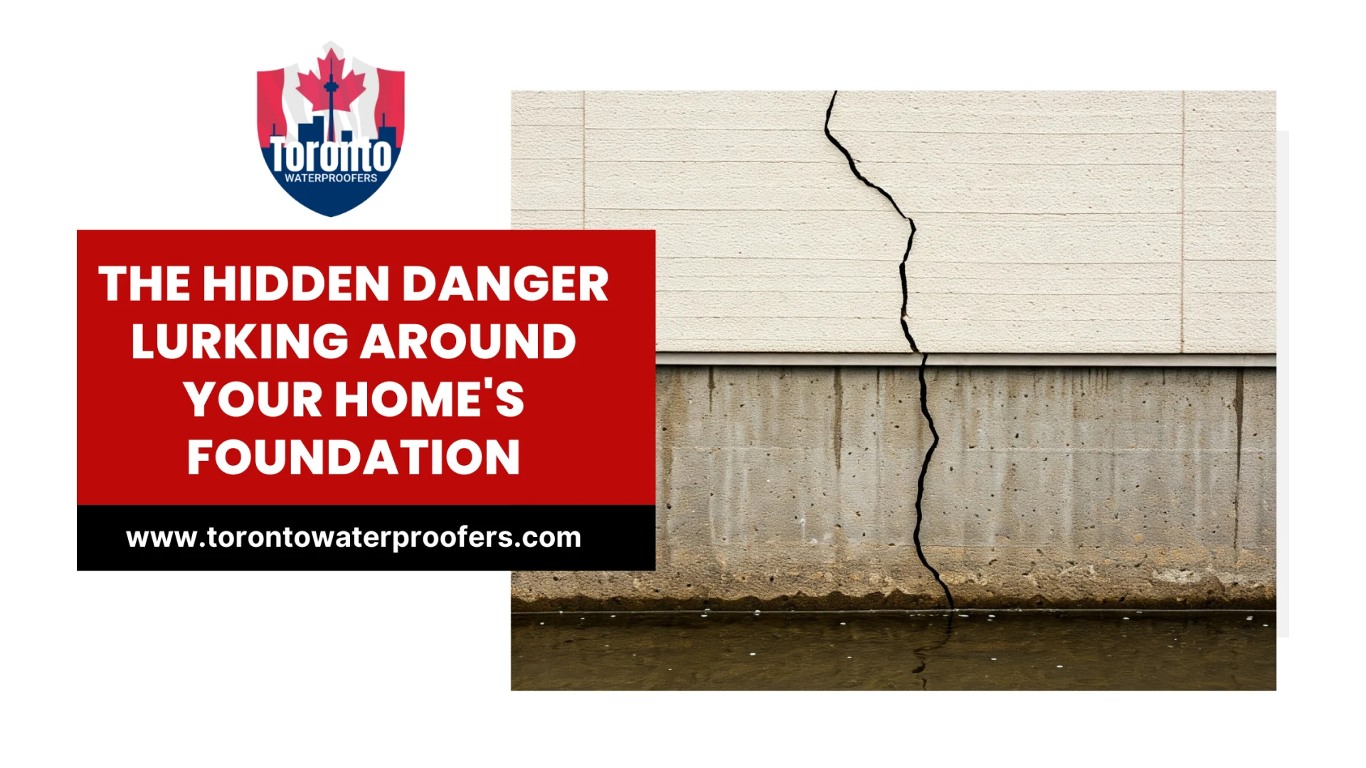 The Hidden Danger Lurking Around Your Home's Foundation
