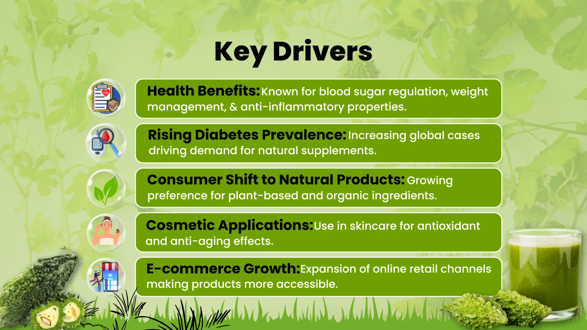 Why Bitter Melon Fruit Powder Is Quietly Becoming a Manufacturers’ Favorite