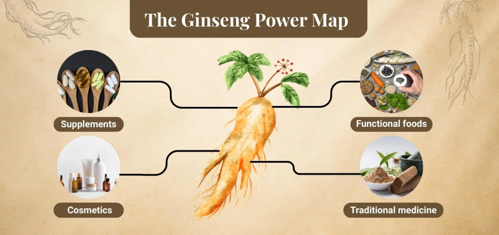 How American Ginseng Powder is Reshaping Product Formulations Across Industries