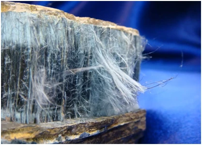 Why Choosing Mold And Asbestos Testing Services Is Necessary