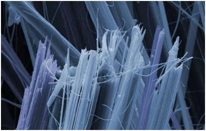 Why Choosing Mold And Asbestos Testing Services Is Necessary