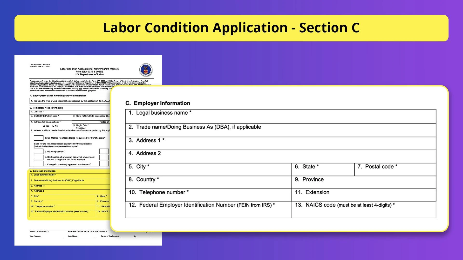 Understanding the Labor Condition Application