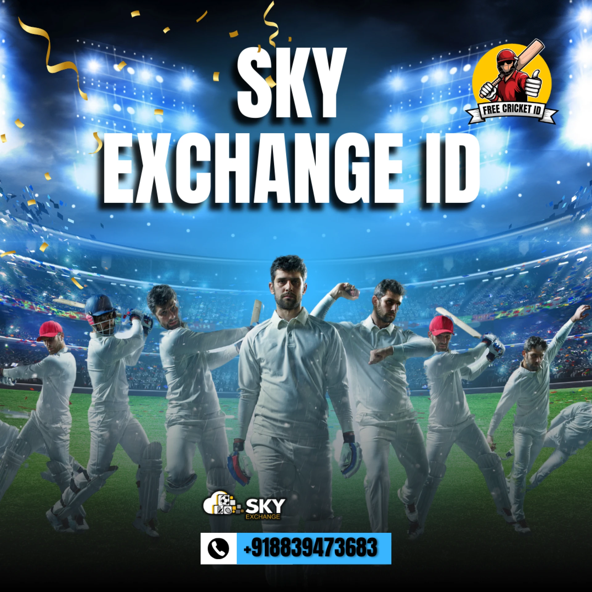 What is a Sky Exchange ID and how does it work