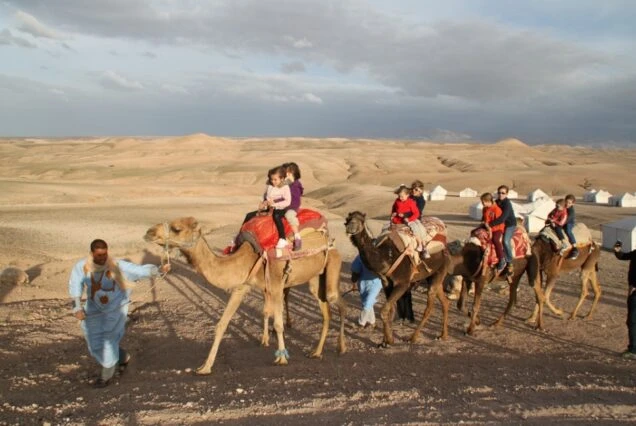 Desert Majesty of Morocco: An Unforgettable Experience