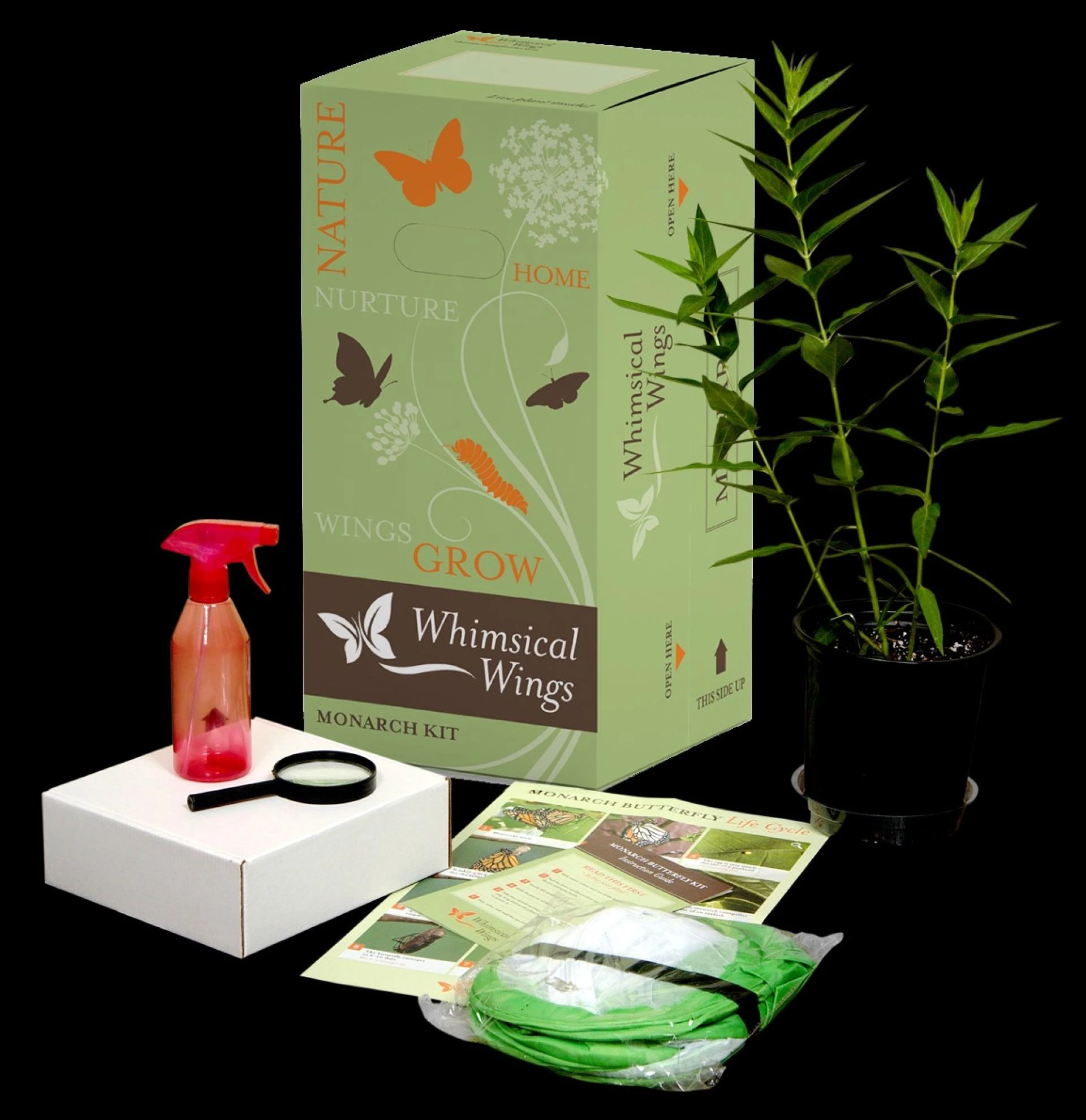 Discover the Joy of Butterfly Conservation and Growing Kits