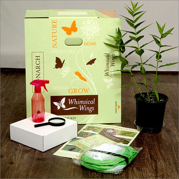Discover the Benefits of Eco-Friendly Butterfly Kits and Insect Kits