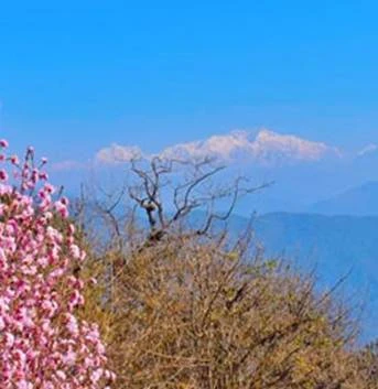 Sandakphu Land Rover Package Tour - Best Deal from Adorable Vacation