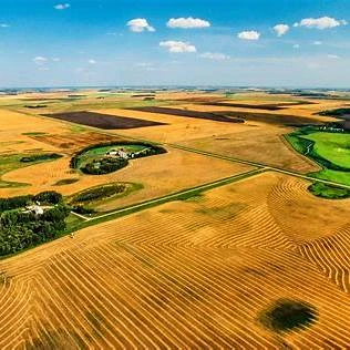 Comparing Saskatchewan’s Farming Regions: Where to Invest in Farmland