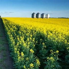 Comparing Saskatchewan’s Farming Regions: Where to Invest in Farmland