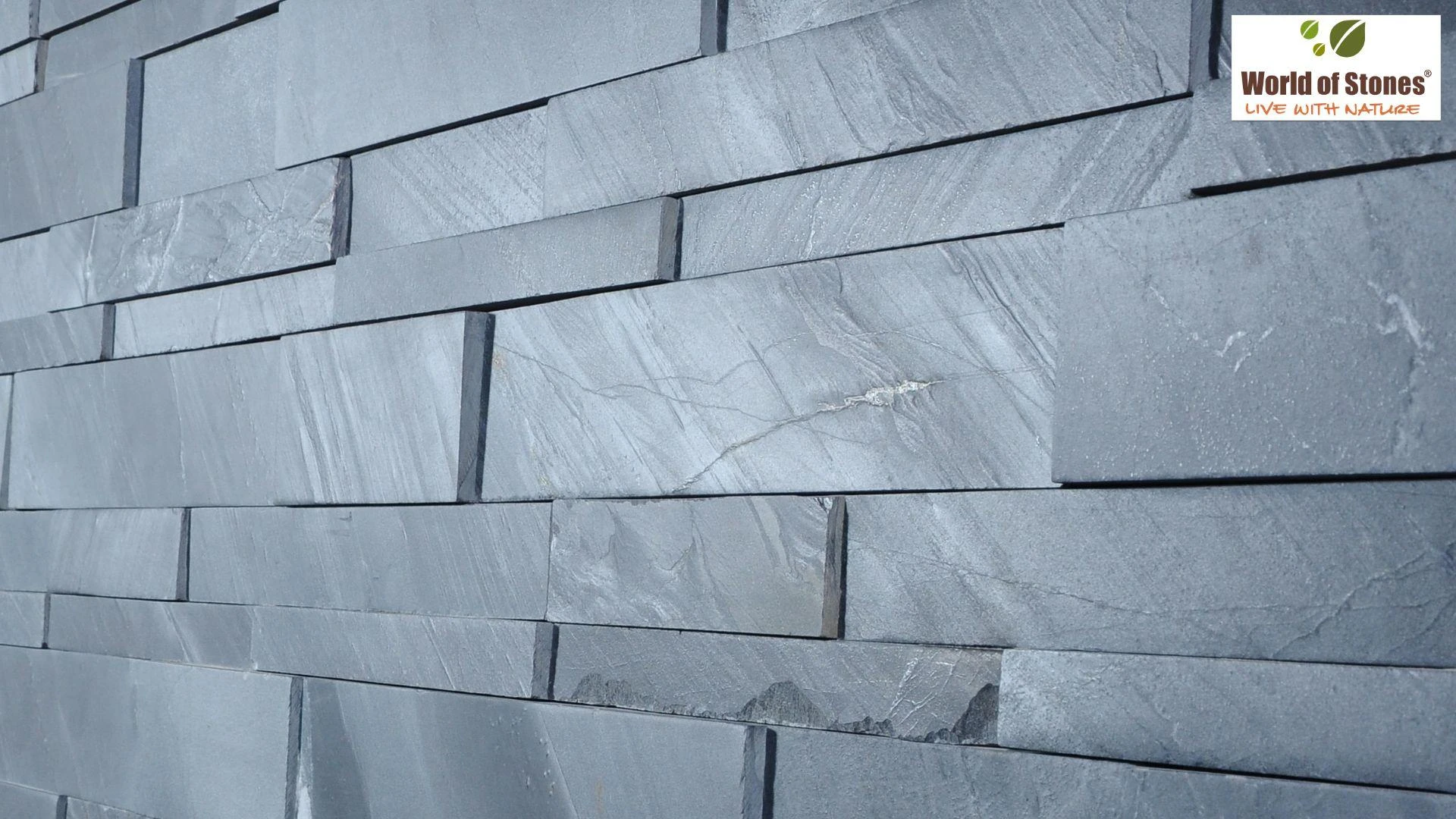 Stone Cladding vs Paint vs Wallpaper: Cost & Best Choice in India