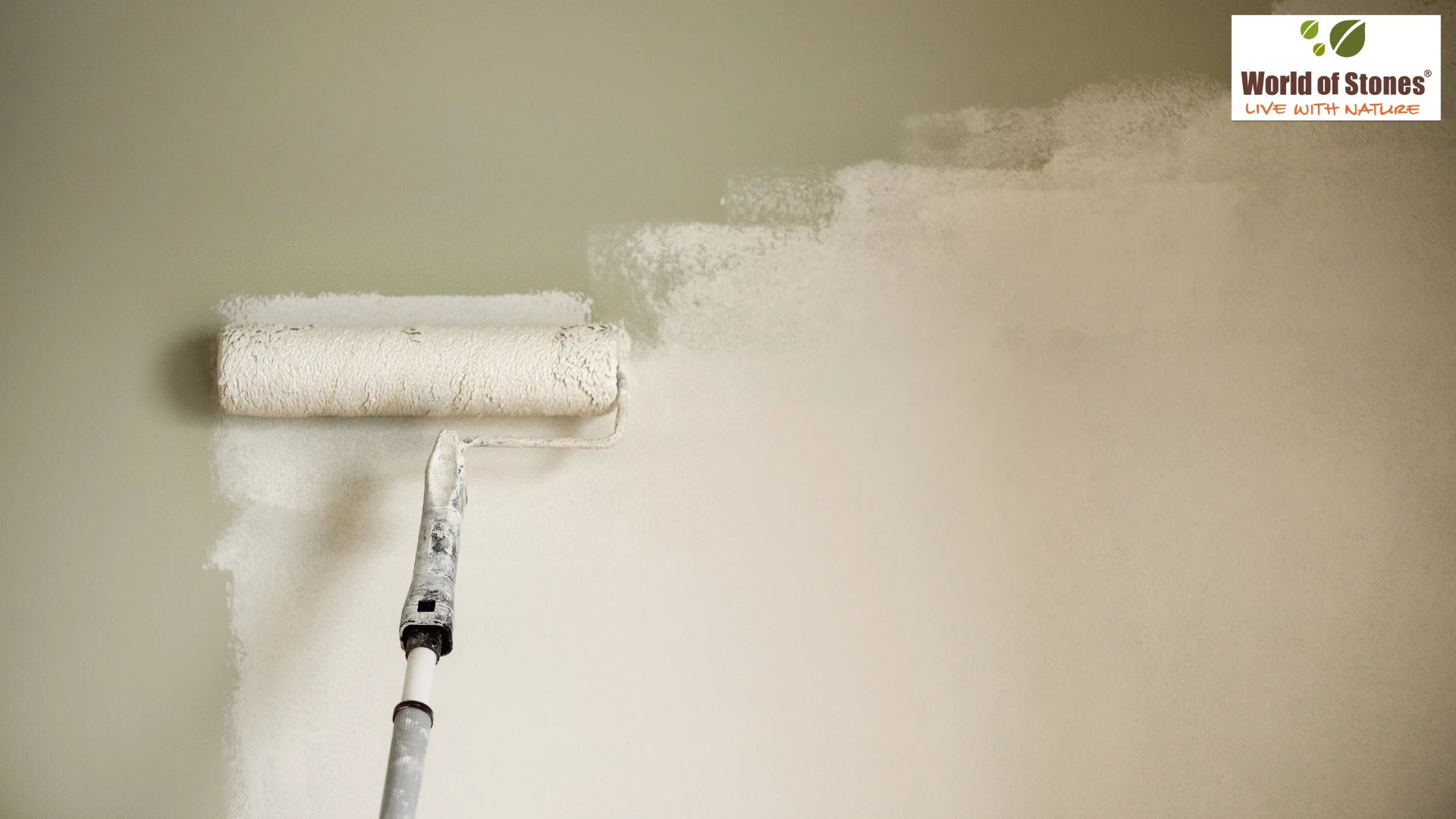 Stone Cladding vs Paint vs Wallpaper: Cost & Best Choice in India