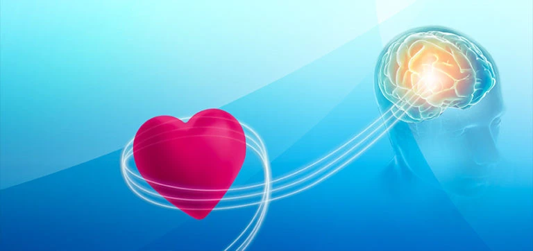 Is Your Relationship Built to Last? How PACT Therapy Reveals the Answer