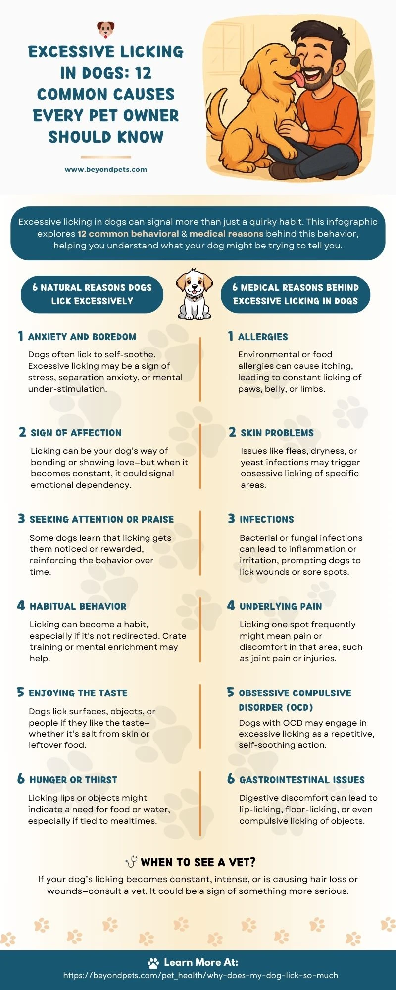 Why Does my Dog Lick So Much?