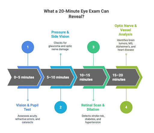 What Your Eyes Reveal About Your Brain, Heart, and Health — Before You Feel Anything