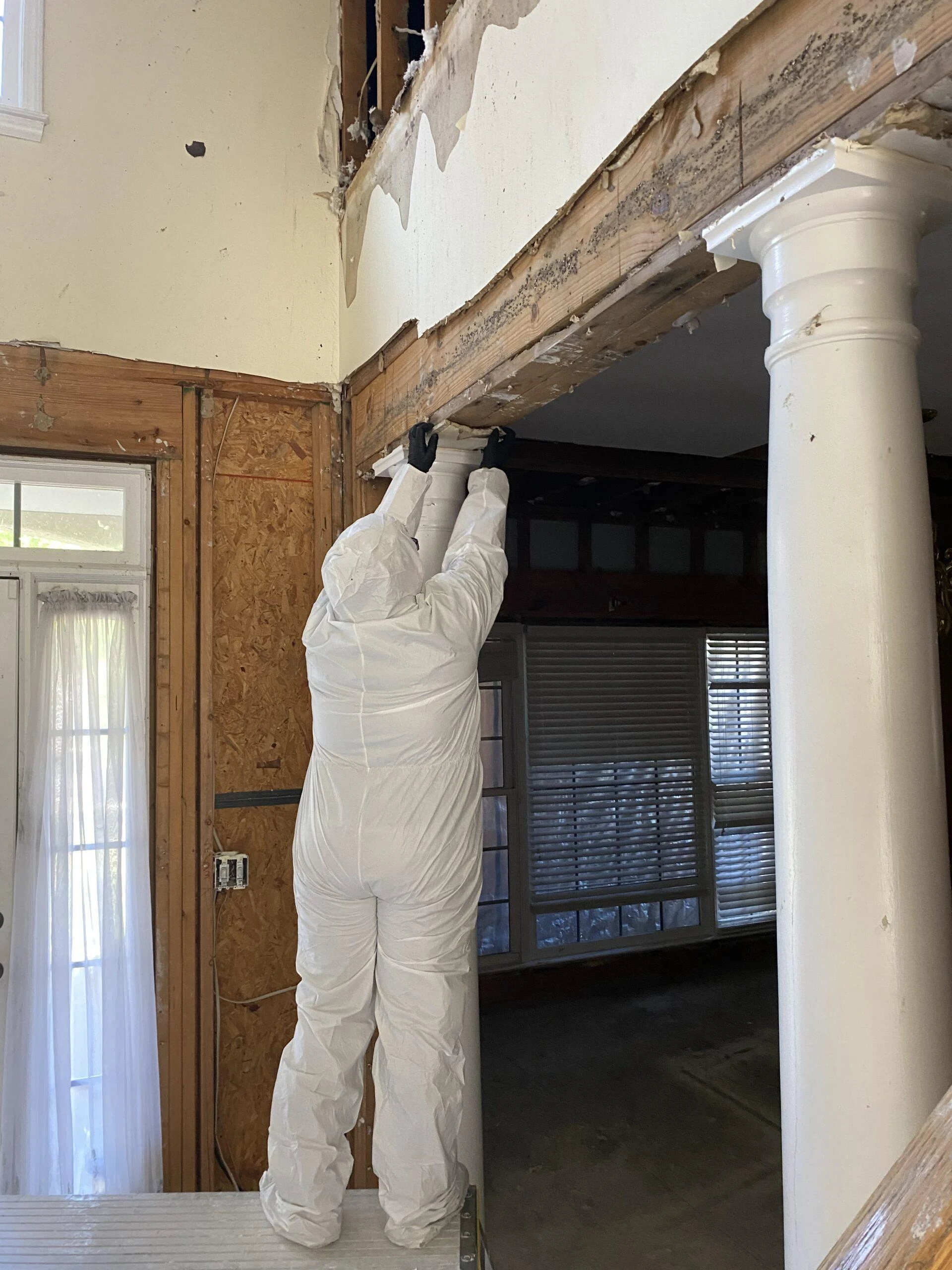 The Role of Water Damage Cleaning Services in Restoring Your Space