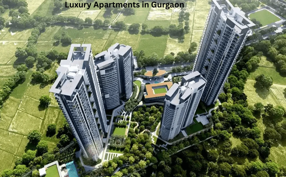 Guide to Buying Luxury Apartments in Gurgaon: What You Need to Know