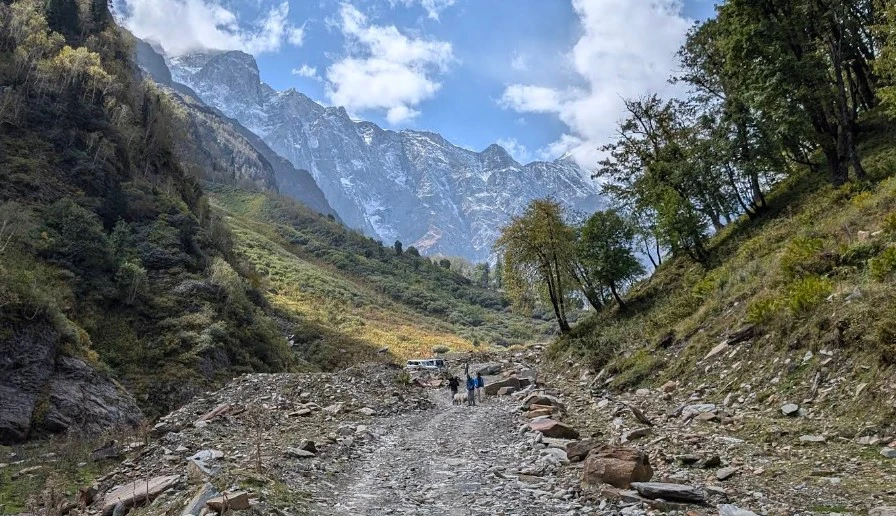 Trail-Tested: 10 Scenic Himachal Treks for Fit First-Time Hikers