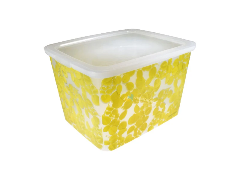 Plastic Storage Boxes