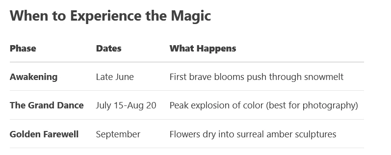 Draft: My Post Title