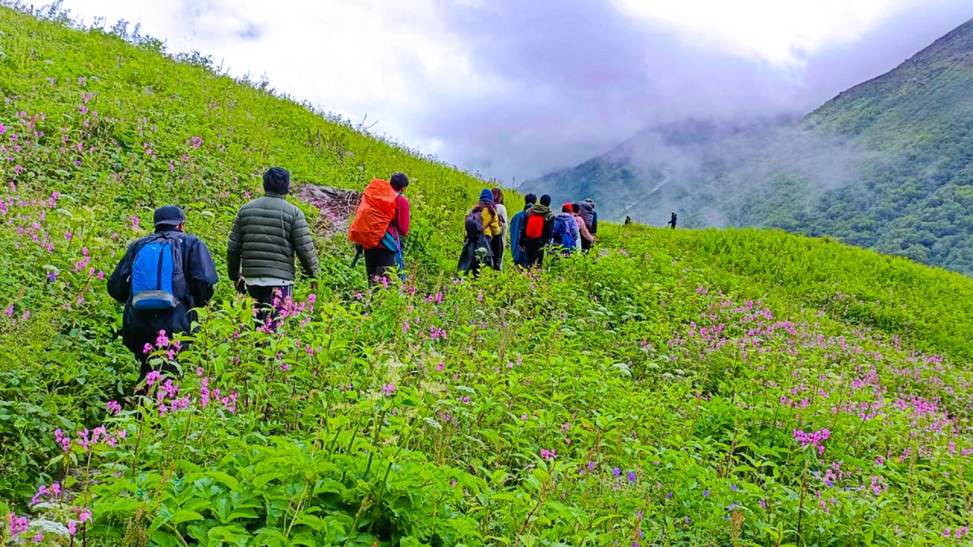 Valley of Flowers 2025 – Ultimate Guide with Trek The Himalayas
