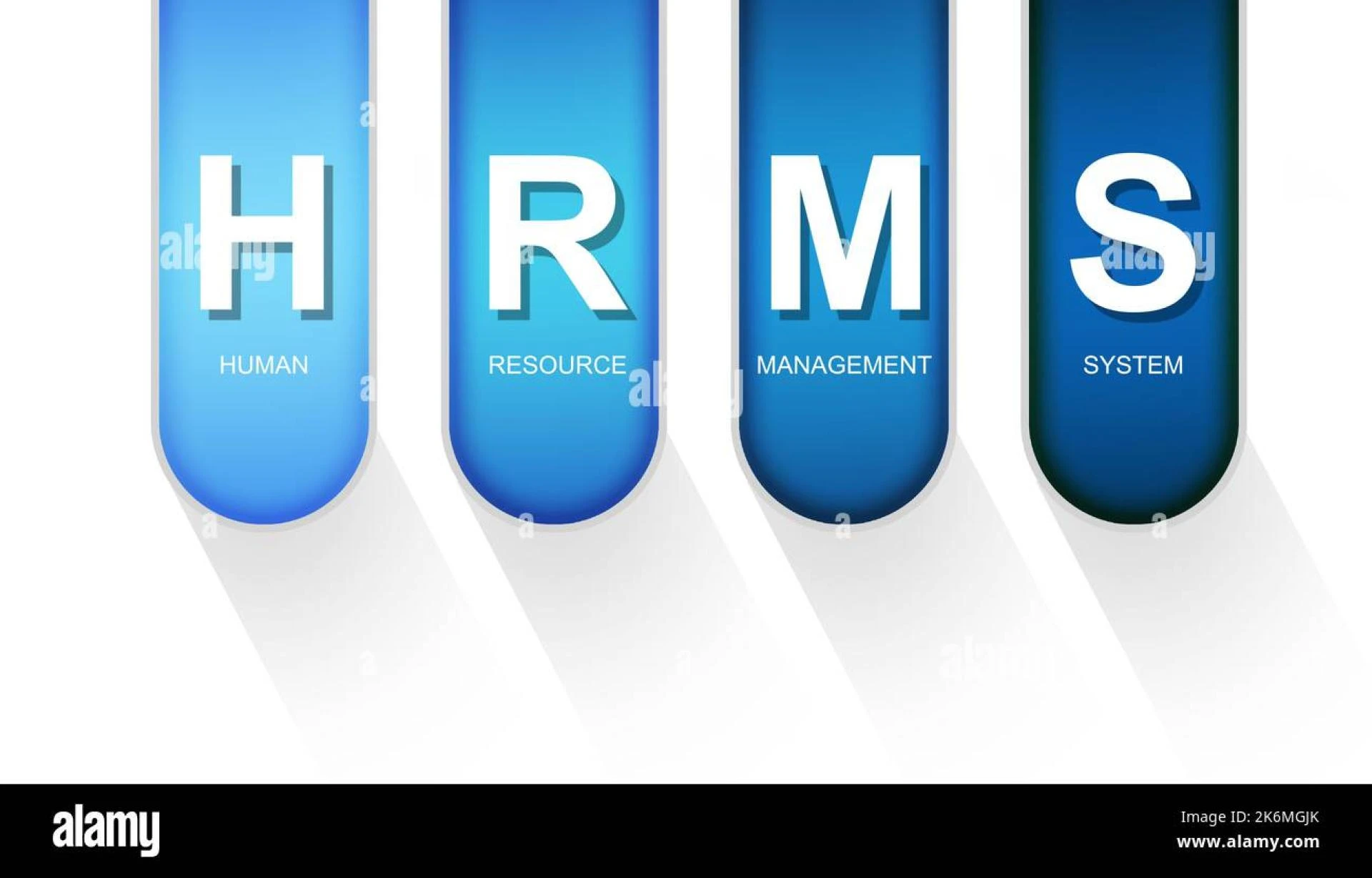 The Importance of an HRMS System in Modern Organizations