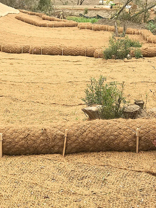 What is Coconut Coir Fiber and the Ideal Material for Erosion Control in Sensitive Environments