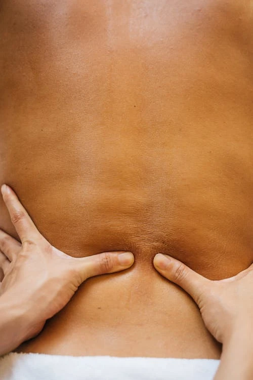 What Your Knots Say About You: Understanding the Language of Muscles