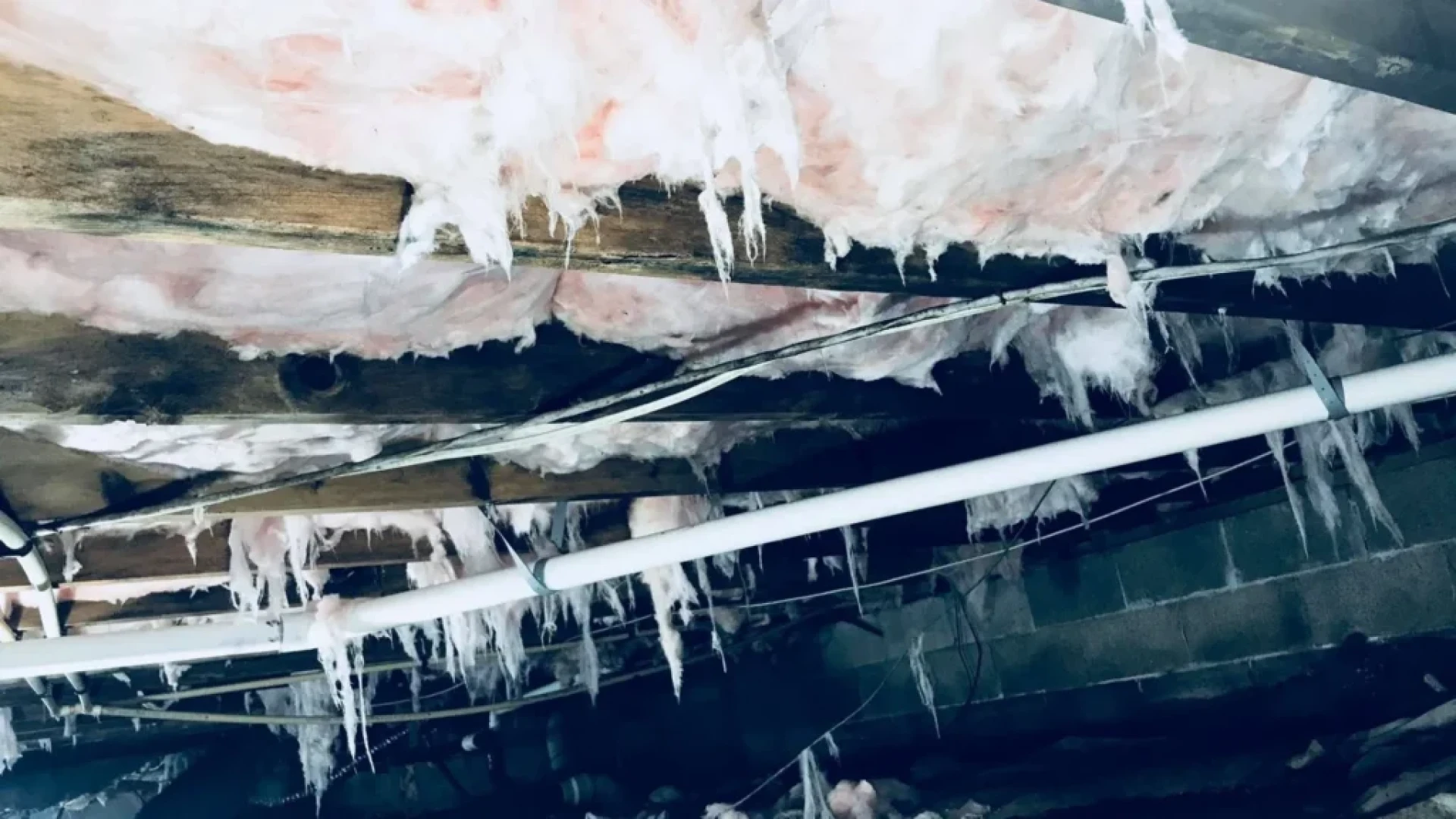 Crawl Space Mold Removal Made Easy: A Homeowner’s Guide by Hawk