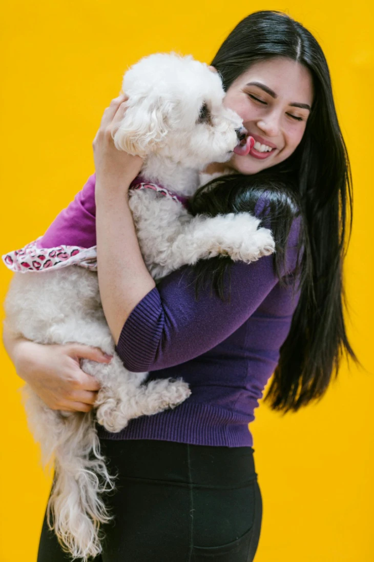 Give Your Pup a VIP (Very Important Paw) Weekend at The Grand Paw