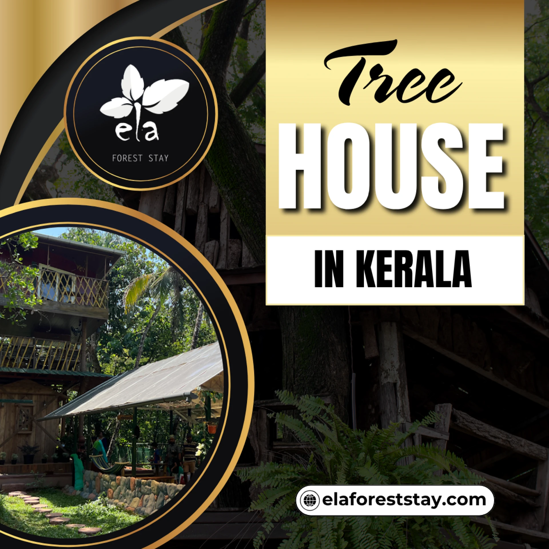 Which are the best destinations for tree house vacations