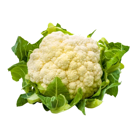 Farming and Agriculture in 2025: Game-Changing Secrets to Skyrocket Yields and Secure Your Legacy