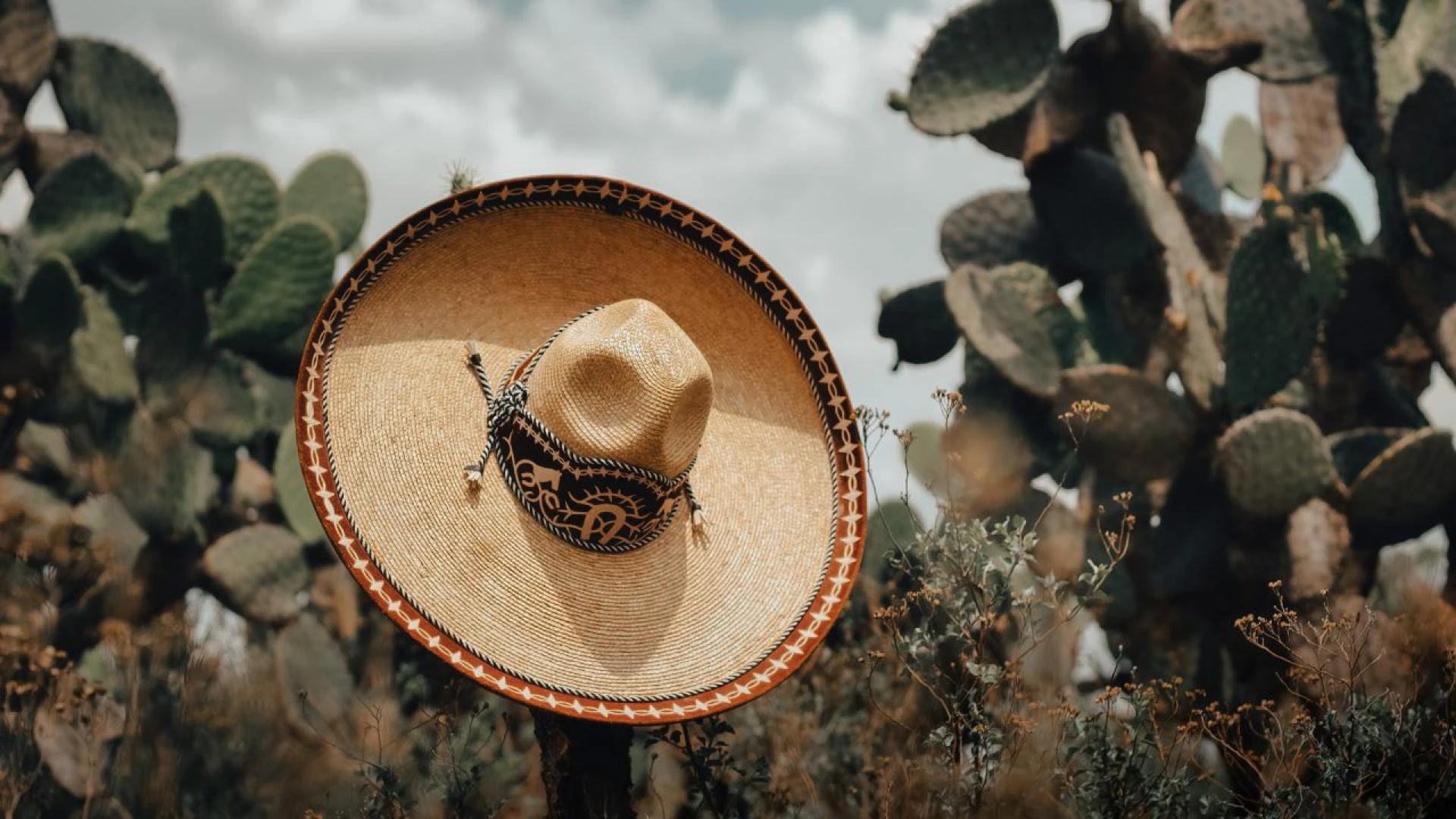 Enhance Your Style with Custom Patch Hats and Premium Patches