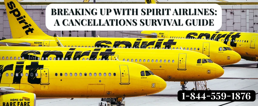 Breaking Up with Spirit Airlines: A Cancellations Survival Guide