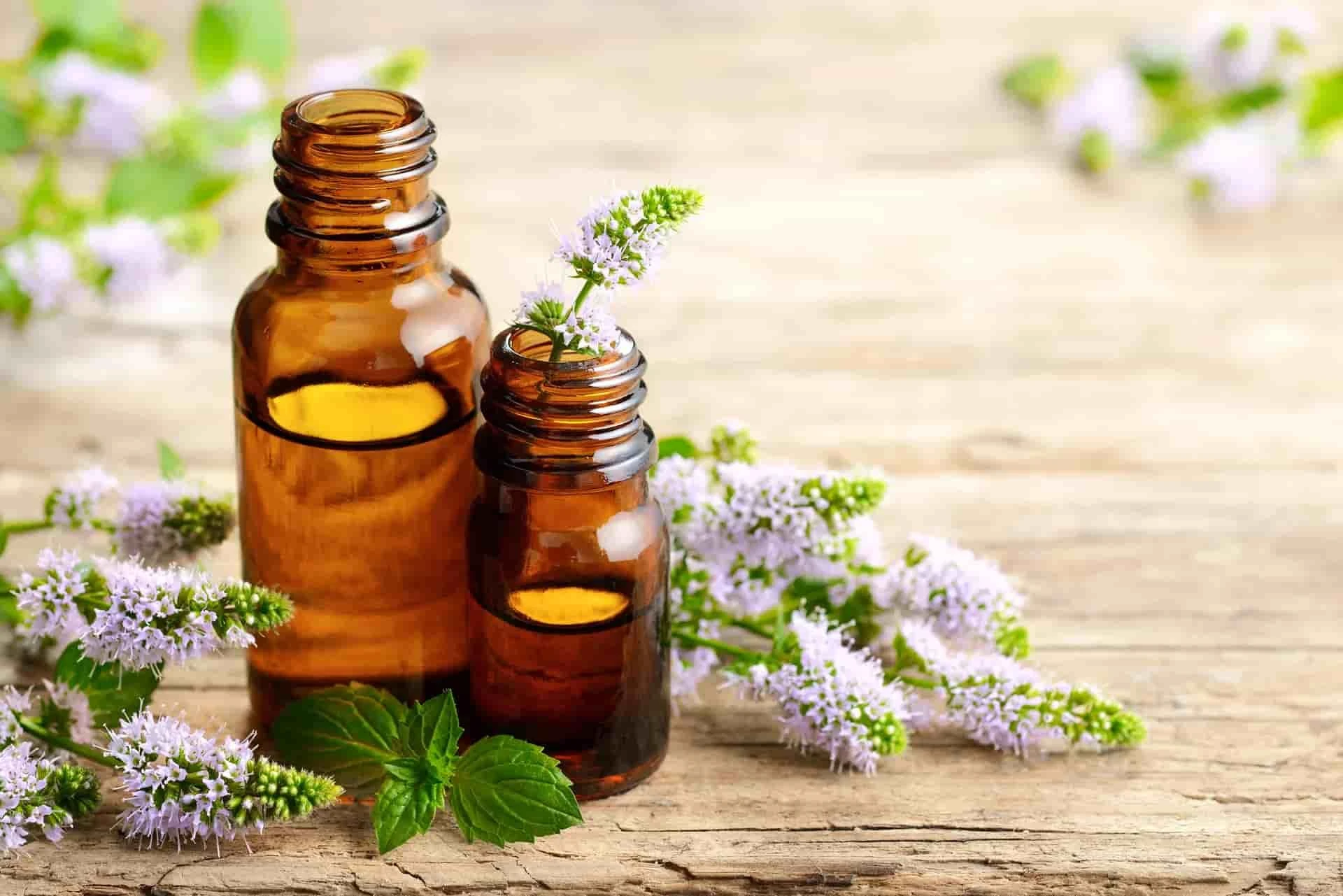 Essential Oils: Nature’s Gift for Wellness and Beyond