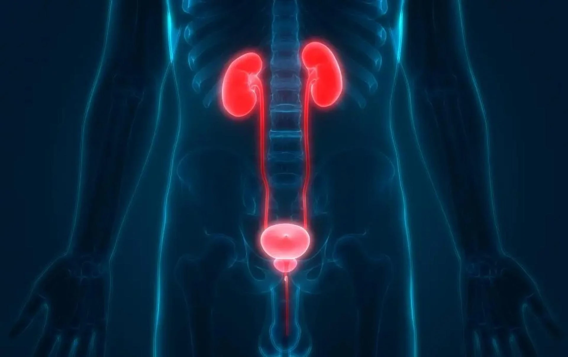 Vesicoureteral Reflux Surgery in Children: Expert Treatment in Delhi