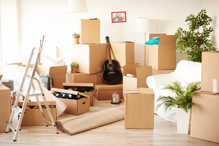Downsizing, Renovating, or Just Decluttering? How Homeowners Can Choose the Right Junk Removal Plan