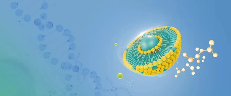 Liposomal Natural Ingredients