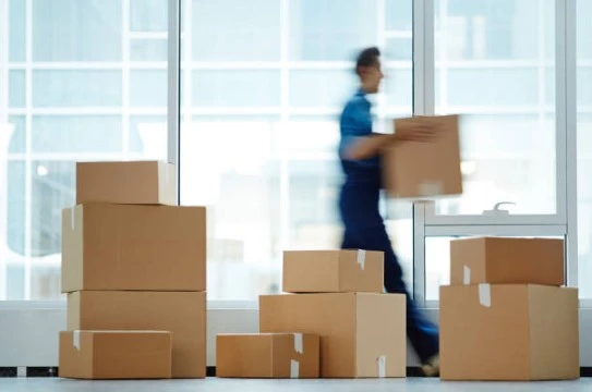 Comprehensive Guide to Moving Services: Finding the Best Solutions for Your Relocation