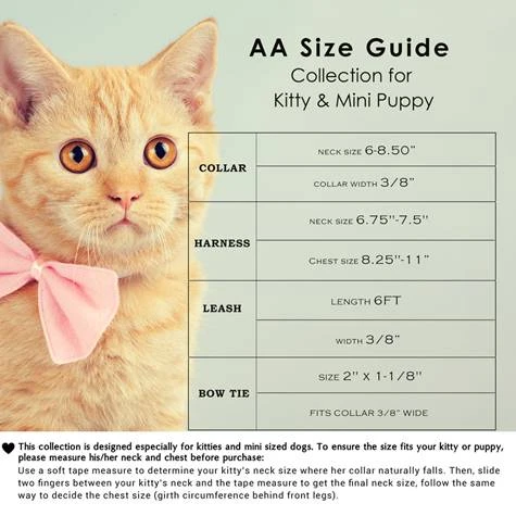 A cat wearing a bow tie

AI-generated content may be incorrect.