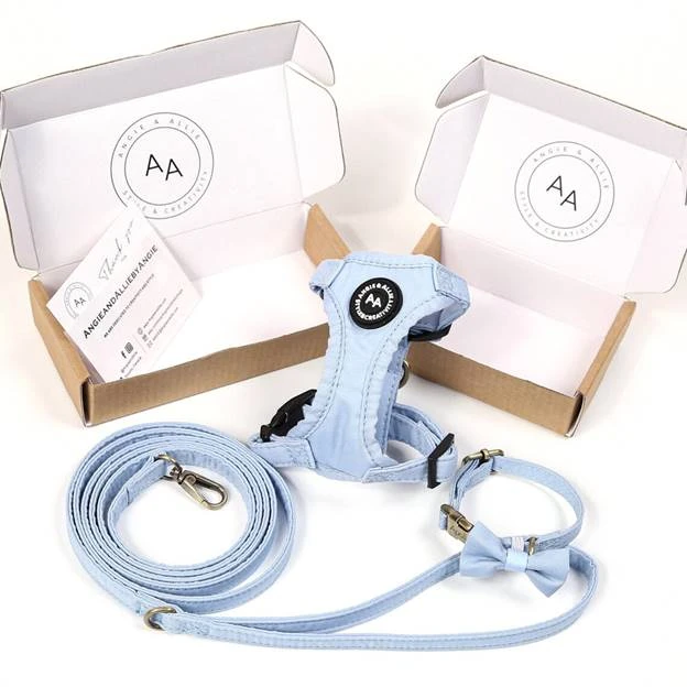 A dog harness and leash in a box

AI-generated content may be incorrect.