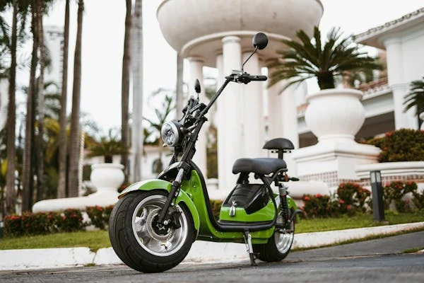 Affordable E-Bikes: The Smart and Sustainable Ride for Everyone.