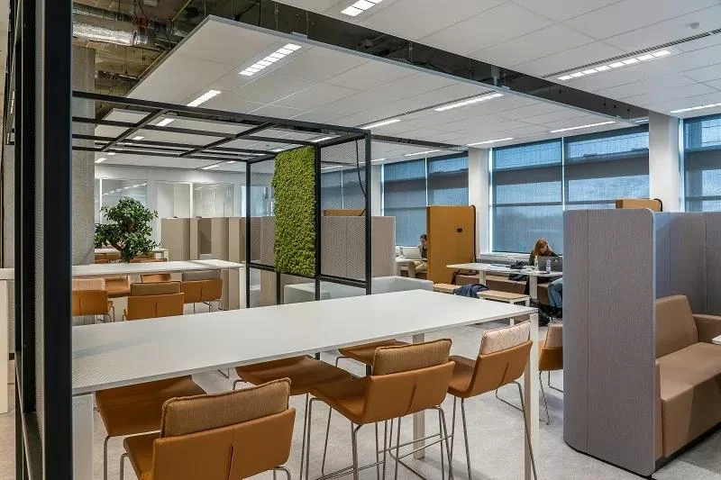 Why Flexible Offices Are the Future