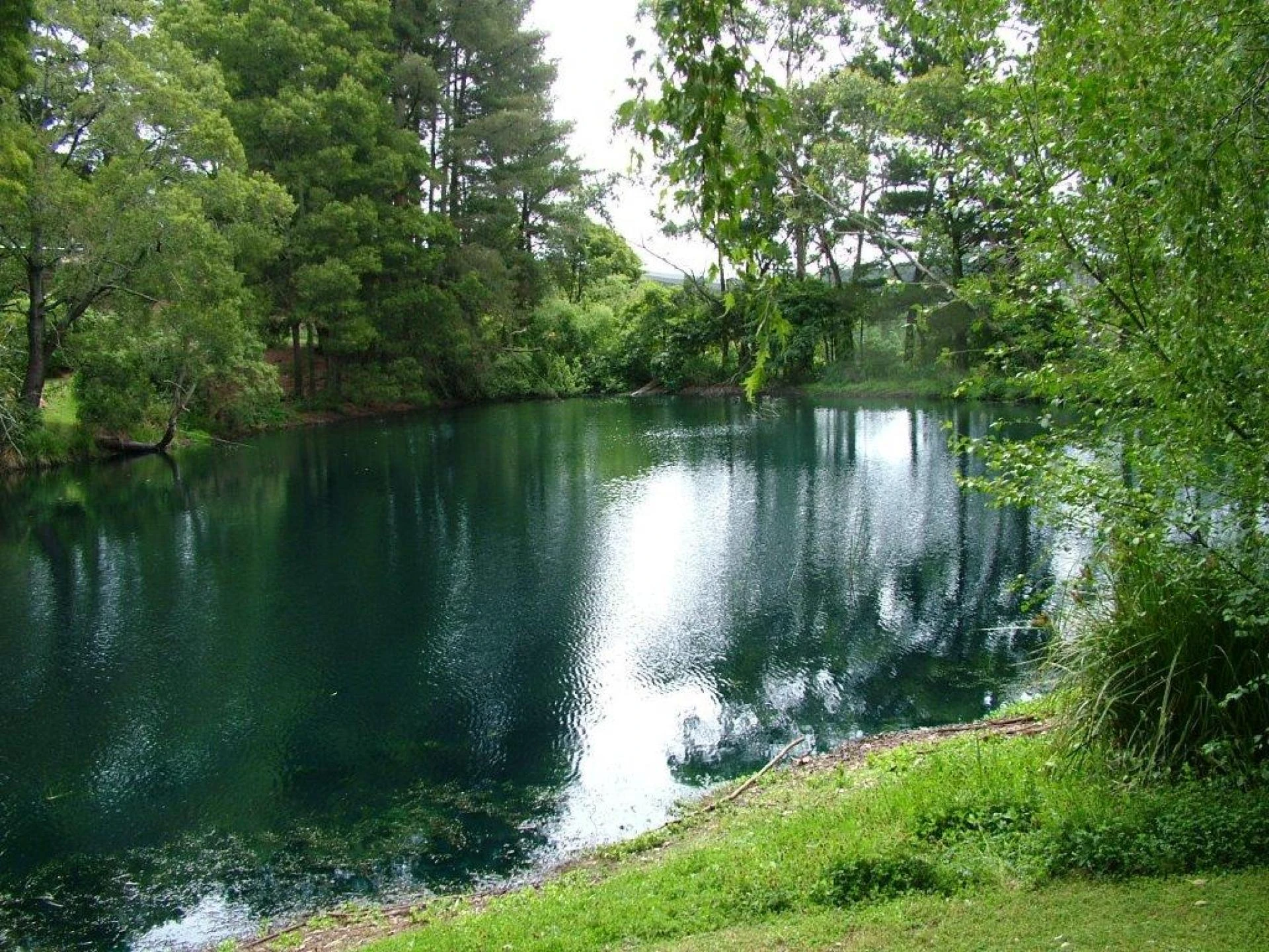 Everything You Need to Know About RO (Reverse Osmosis) Water Filtration